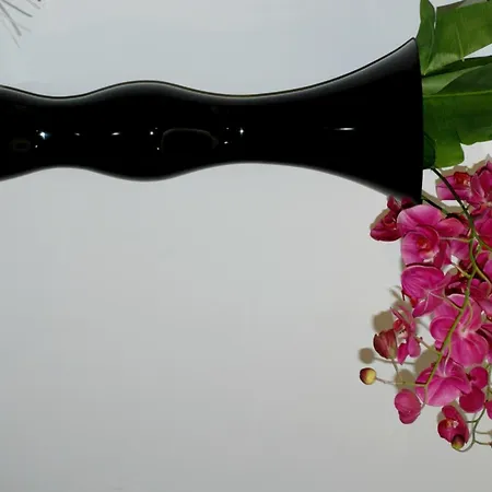 Vdb Next 카타니아