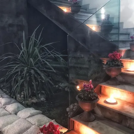 Vdb Next 카타니아